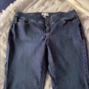 Lane Bryant high rise jeggings